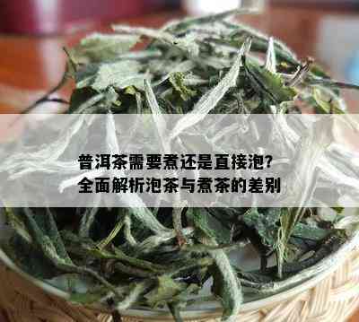 普洱茶需要煮还是直接泡？全面解析泡茶与煮茶的差别