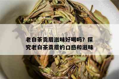 老白茶贡眉滋味好喝吗？探究老白茶贡眉的口感和滋味