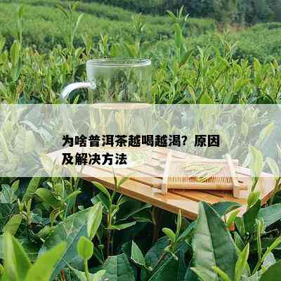 为啥普洱茶越喝越渴？原因及解决方法