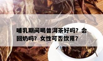 哺乳期间喝普洱茶好吗？会回奶吗？女性可否饮用？