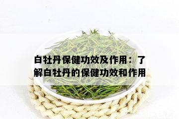 白牡丹保健功效及作用：了解白牡丹的保健功效和作用