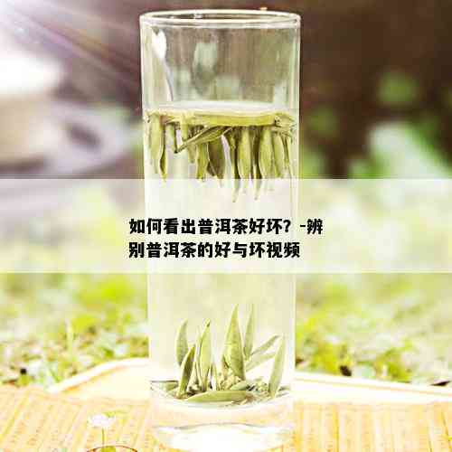 如何看出普洱茶好坏？-辨别普洱茶的好与坏视频