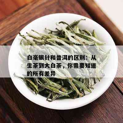 白毫银针和普洱的区别：从生茶到大白茶，你需要知道的所有差异