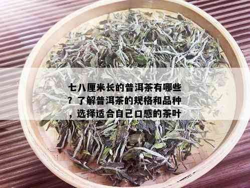 七八厘米长的普洱茶有哪些？了解普洱茶的规格和品种，选择适合自己口感的茶叶