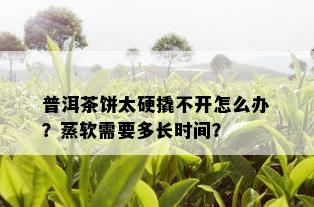 普洱茶饼太硬撬不开怎么办？蒸软需要多长时间？