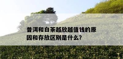 普洱和白茶越放越值钱的原因和存放区别是什么？