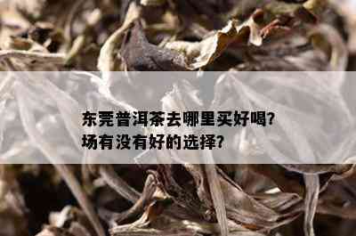 东莞普洱茶去哪里买好喝？场有没有好的选择？