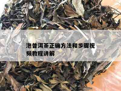 泡普洱茶正确方法和步骤视频教程讲解