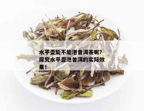 水平壶能不能泡普洱茶呢？探究水平壶泡普洱的实际效果！