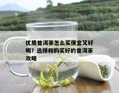 优质普洱茶怎么买便宜又好喝？选择和购买好的普洱茶攻略