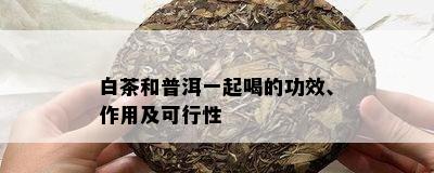 白茶和普洱一起喝的功效、作用及可行性