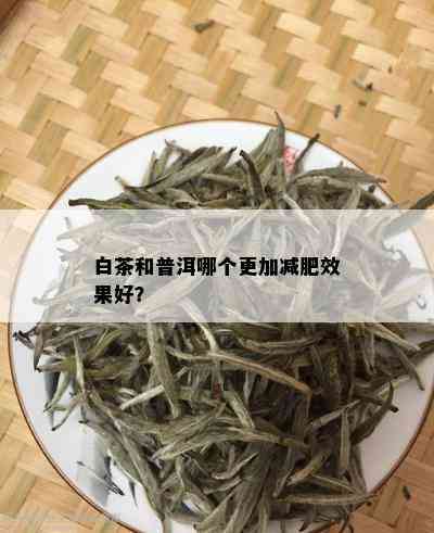 白茶和普洱哪个更加减肥效果好？