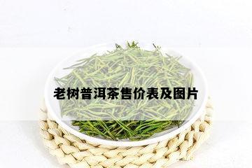 老树普洱茶售价表及图片