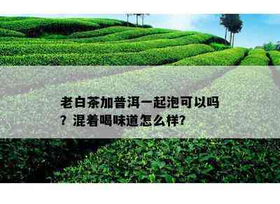 老白茶加普洱一起泡可以吗？混着喝味道怎么样？