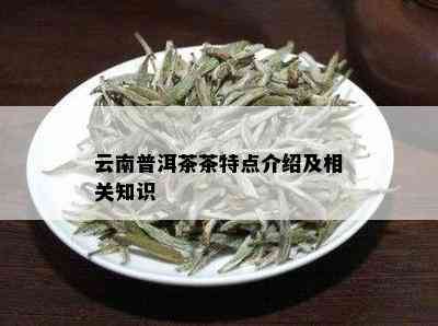 云南普洱茶茶特点介绍及相关知识