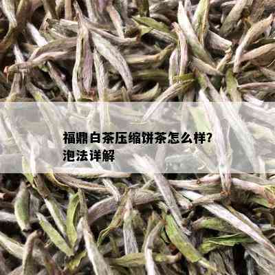 福鼎白茶压缩饼茶怎么样？泡法详解