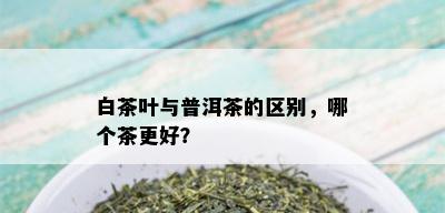 白茶叶与普洱茶的区别，哪个茶更好？