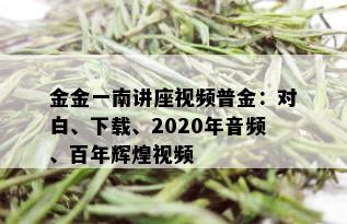 金金一南讲座视频普金：对白、下载、2020年音频、百年辉煌视频