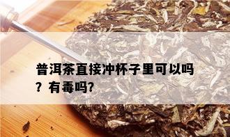 普洱茶直接冲杯子里可以吗？有吗？