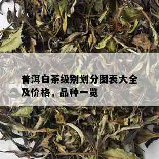 普洱白茶级别划分图表大全及价格，品种一览