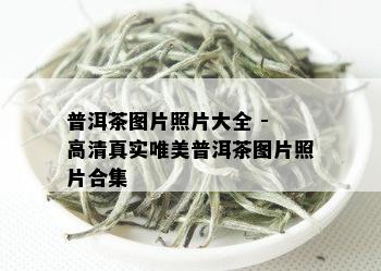 普洱茶图片照片大全 - 高 *** 实唯美普洱茶图片照片合集