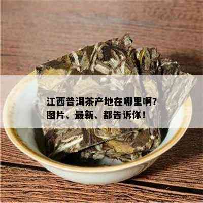 江西普洱茶产地在哪里啊？图片、最新、都告诉你！