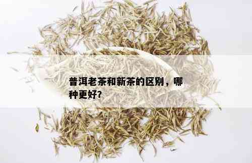 普洱老茶和新茶的区别，哪种更好？