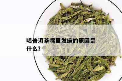 喝普洱茶嘴里发麻的原因是什么？