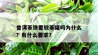 普洱茶饼要放茶罐吗为什么？有什么要求？