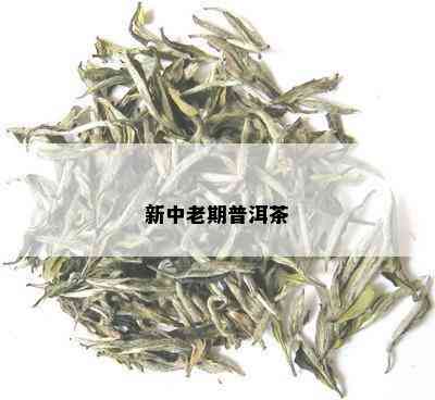 新中老期普洱茶