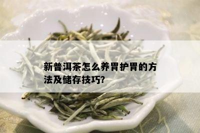 新普洱茶怎么养胃护胃的方法及储存技巧？