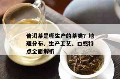 普洱茶是哪生产的茶类？地理分布、生产工艺、口感特点全面解析