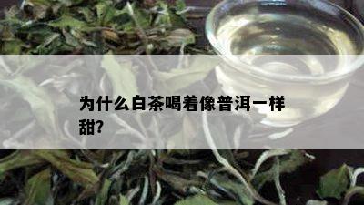 为什么白茶喝着像普洱一样甜？