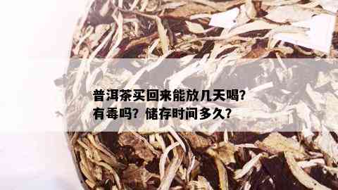 普洱茶买回来能放几天喝？有吗？储存时间多久？