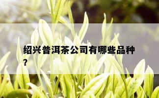 绍兴普洱茶公司有哪些品种？