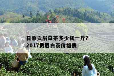 日照贡眉白茶多少钱一斤？2017贡眉白茶价格表