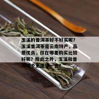 玉溪的普洱茶好不好买呢？玉溪普洱茶是云南特产，品质优良，但在哪里购买比较好呢？除此之外，玉溪和普洱哪个更值得一去？