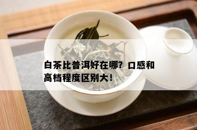 白茶比普洱好在哪？口感和高档程度区别大！