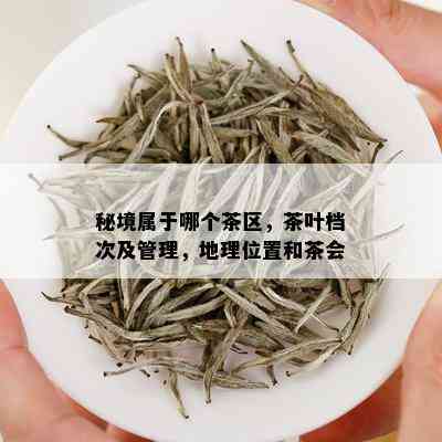 秘境属于哪个茶区，茶叶档次及管理，地理位置和茶会