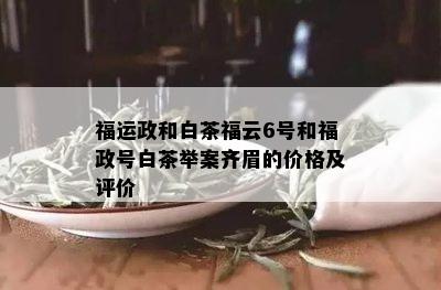 福运政和白茶福云6号和福政号白茶举案齐眉的价格及评价