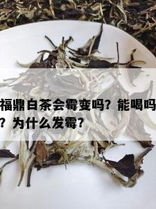 福鼎白茶会霉变吗？能喝吗？为什么发霉？