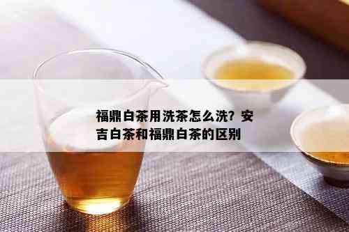 福鼎白茶用洗茶怎么洗？安吉白茶和福鼎白茶的区别