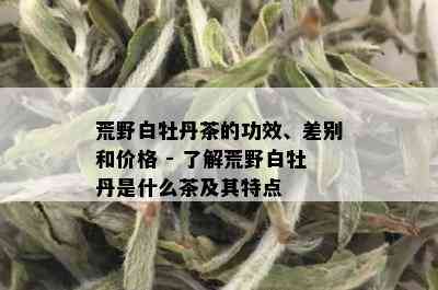 荒野白牡丹茶的功效、差别和价格 - 了解荒野白牡丹是什么茶及其特点