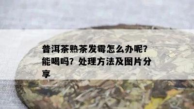 普洱茶熟茶发霉怎么办呢？能喝吗？处理方法及图片分享