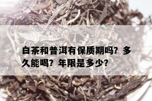 白茶和普洱有保质期吗？多久能喝？年限是多少？