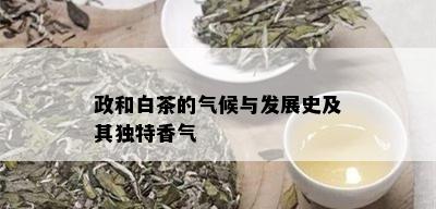 政和白茶的气候与发展史及其独特香气