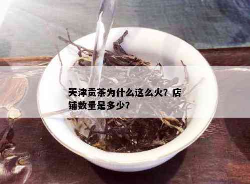 天津贡茶为什么这么火？店铺数量是多少？