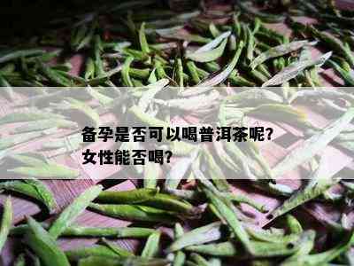 备孕是否可以喝普洱茶呢？女性能否喝？