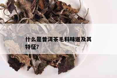 什么是普洱茶毛料味道及其特征？