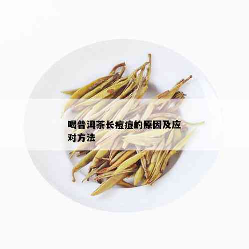 喝普洱茶长痘痘的原因及应对方法